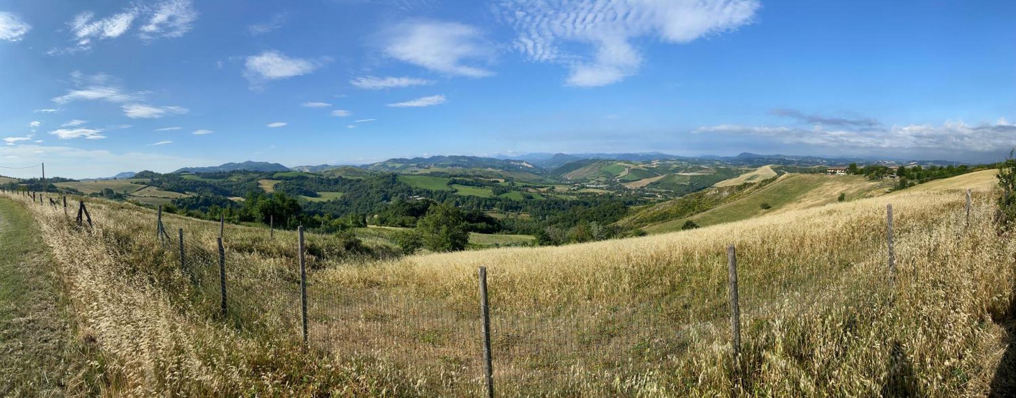 La Palazzina Di Ciagnano Villa Ozzano dell'Emilia Exteriör bild