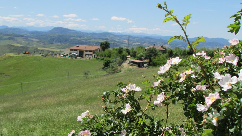 La Palazzina Di Ciagnano Villa Ozzano dell'Emilia Exteriör bild